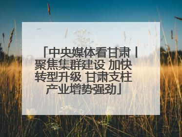 中央媒体看甘肃丨聚焦集群建设 加快转型升级 甘肃支柱产业增势强劲