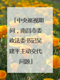中央巡视期间，南昌市委政法委书记吴建平主动交代问题