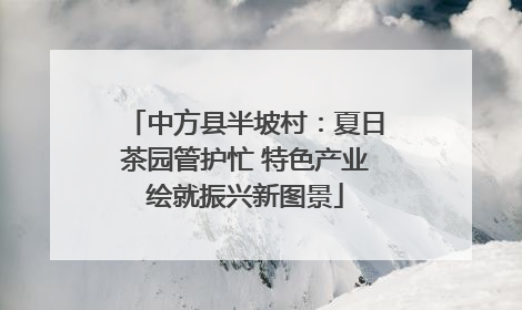 中方县半坡村：夏日茶园管护忙 特色产业绘就振兴新图景