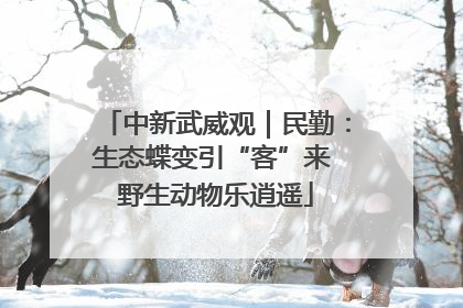 中新武威观｜民勤：生态蝶变引“客”来 野生动物乐逍遥