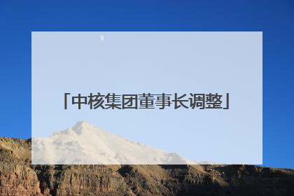 中核集团董事长调整