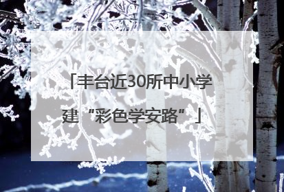 丰台近30所中小学建“彩色学安路”