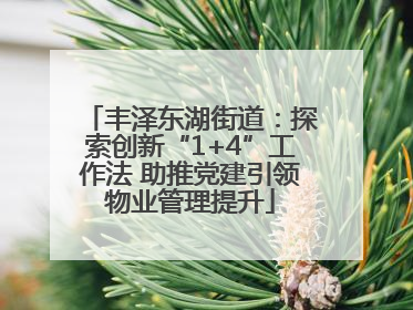 丰泽东湖街道：探索创新“1+4”工作法 助推党建引领物业管理提升