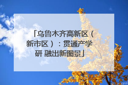 乌鲁木齐高新区（新市区）：贯通产学研 融出新图景