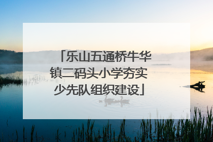 乐山五通桥牛华镇二码头小学夯实少先队组织建设
