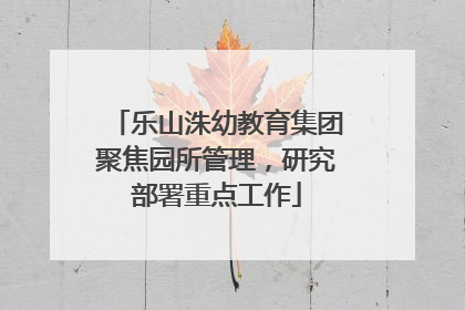 乐山洙幼教育集团聚焦园所管理，研究部署重点工作