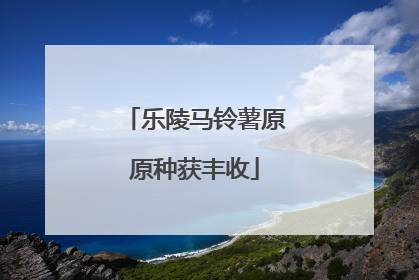 乐陵马铃薯原原种获丰收