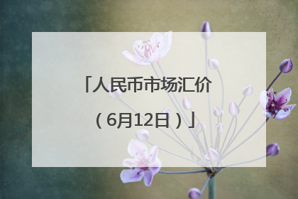 人民币市场汇价（6月12日）