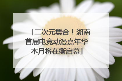 二次元集合！湖南首届电竞动漫嘉年华本月将在衡启幕