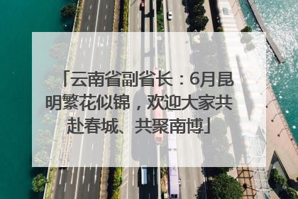 云南省副省长：6月昆明繁花似锦，欢迎大家共赴春城、共聚南博