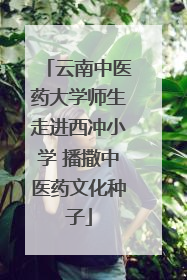 云南中医药大学师生走进西冲小学 播撒中医药文化种子