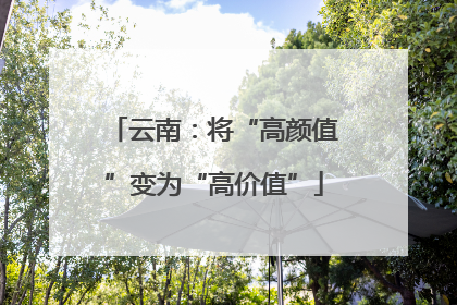 云南：将“高颜值”变为“高价值”