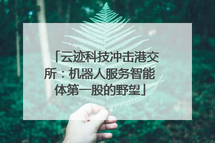 云迹科技冲击港交所：机器人服务智能体第一股的野望