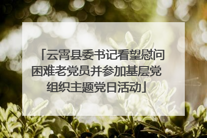 云霄县委书记看望慰问困难老党员并参加基层党组织主题党日活动