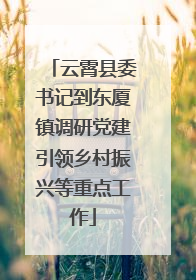 云霄县委书记到东厦镇调研党建引领乡村振兴等重点工作