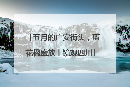 五月的广安街头，蓝花楹盛放丨镜观四川