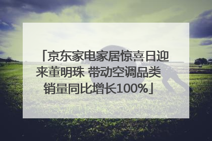 京东家电家居惊喜日迎来董明珠 带动空调品类销量同比增长100%