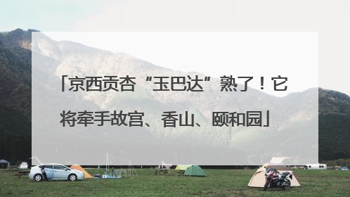 京西贡杏“玉巴达”熟了！它将牵手故宫、香山、颐和园