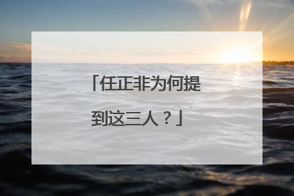 任正非为何提到这三人？