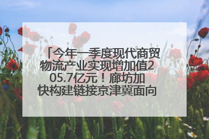 今年一季度现代商贸物流产业实现增加值205.7亿元！廊坊加快构建链接京津冀面向全世界的物流通道