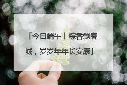 今日端午丨粽香飘春城，岁岁年年长安康