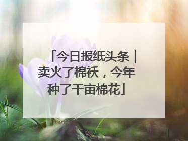 今日报纸头条｜卖火了棉袄，今年种了千亩棉花