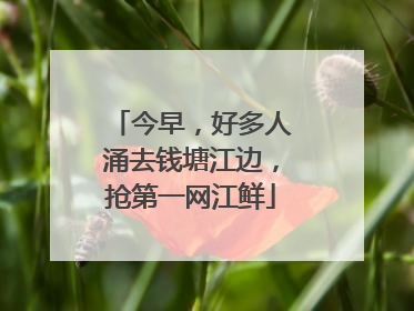今早，好多人涌去钱塘江边，抢第一网江鲜