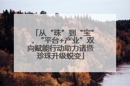 从“珠”到“宝”，“平台+产业”双向赋能行动助力诸暨珍珠升级蜕变