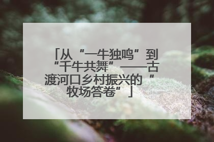 从“一牛独鸣”到“千牛共舞”——古渡河口乡村振兴的“牧场答卷”