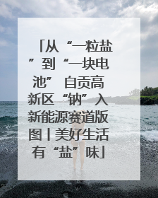 从“一粒盐”到“一块电池” 自贡高新区“钠”入新能源赛道版图丨美好生活有“盐”味