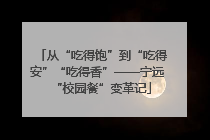从“吃得饱”到“吃得安”“吃得香”——宁远“校园餐”变革记