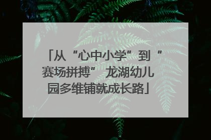 从“心中小学”到“赛场拼搏” 龙湖幼儿园多维铺就成长路