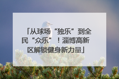 从球场“独乐”到全民“众乐”！淄博高新区解锁健身新力量