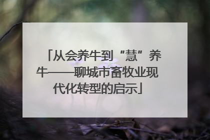 从会养牛到“慧”养牛——聊城市畜牧业现代化转型的启示