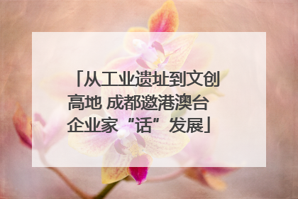 从工业遗址到文创高地 成都邀港澳台企业家“话”发展