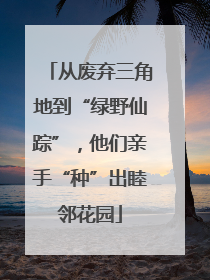 从废弃三角地到“绿野仙踪”，他们亲手“种”出睦邻花园