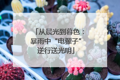 从晨光到暮色：暴雨中“电骡子”逆行送光明