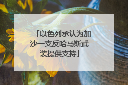 以色列承认为加沙一支反哈马斯武装提供支持