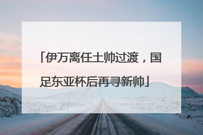 伊万离任土帅过渡，国足东亚杯后再寻新帅