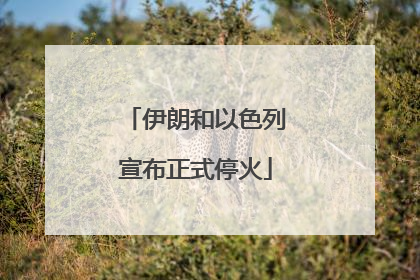 伊朗和以色列宣布正式停火