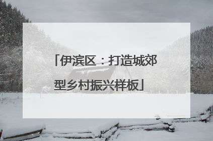 伊滨区：打造城郊型乡村振兴样板
