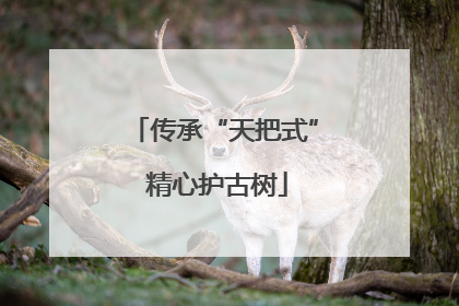 传承“天把式” 精心护古树