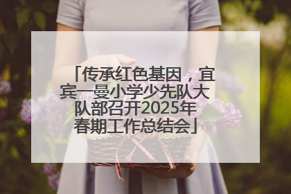 传承红色基因，宜宾一曼小学少先队大队部召开2025年春期工作总结会