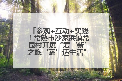 参观+互动+实践！常熟市沙家浜镇常昆村开展“爱‘新’之旅‘蔬’适生活”参观学习活动