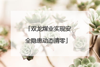 双龙煤业实现安全隐患动态清零