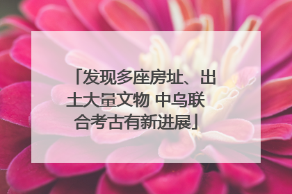 发现多座房址、出土大量文物 中乌联合考古有新进展