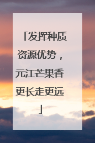 发挥种质资源优势，元江芒果香更长走更远