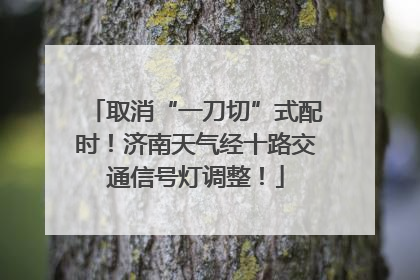取消“一刀切”式配时！济南天气经十路交通信号灯调整！