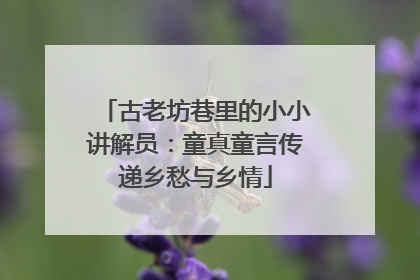 古老坊巷里的小小讲解员：童真童言传递乡愁与乡情