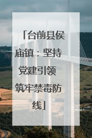 台前县侯庙镇：坚持党建引领 筑牢禁毒防线